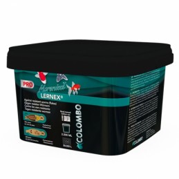 copy of  